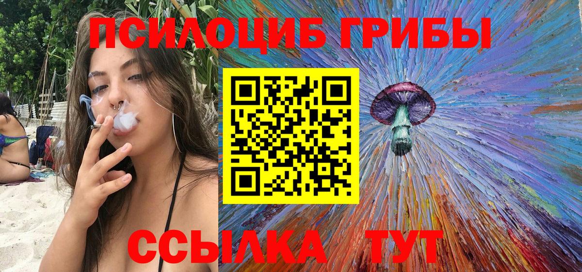 Псилоцибиновые грибы мухоморы Санкт-Петербург