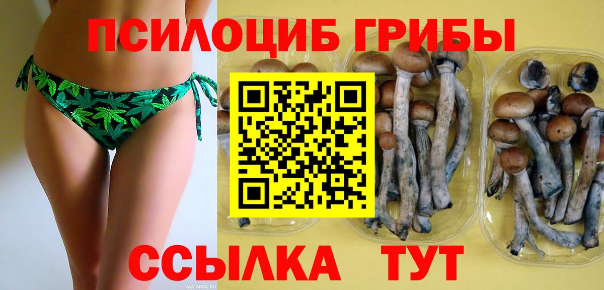 Галлюциногенные грибы прущие грибы  Псилоцибиновые грибы мицелий  купить наркотики цена  Вход с VPN  Санкт-Петербург 