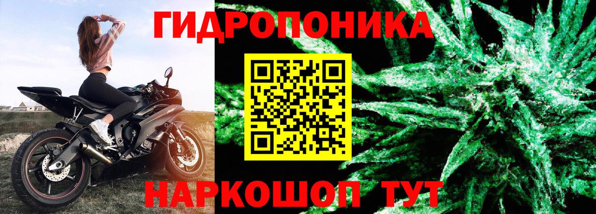 Бошки марихуана планчик Санкт-Петербург